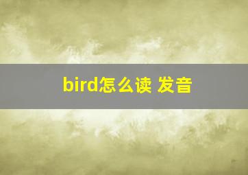 bird怎么读 发音